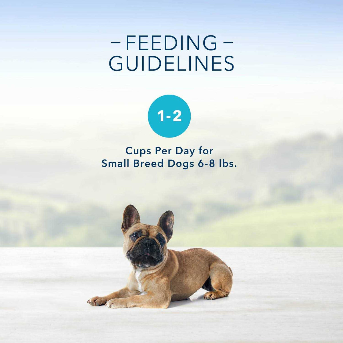 Grilled Chicken Flavor Pate Small Breed Dog Food I9040