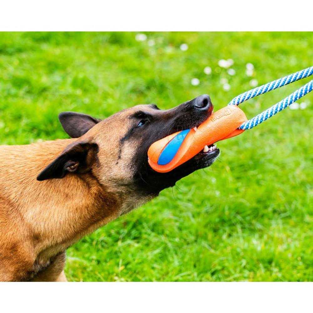 Dog Toy D299
