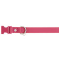 Dog Collar R647