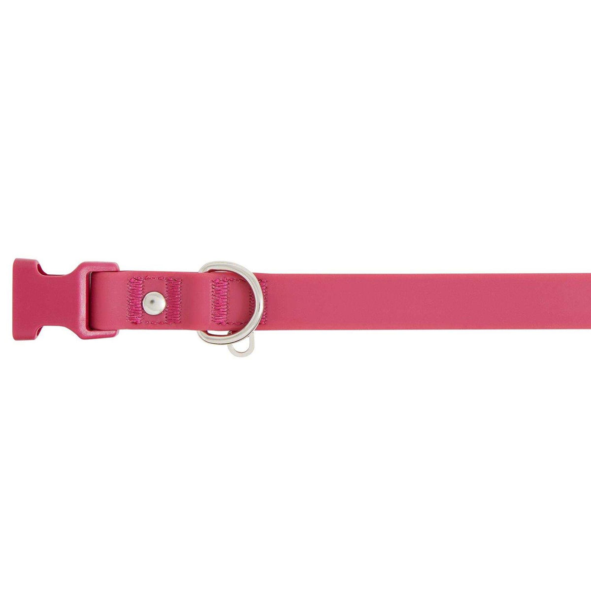 Dog Collar R647