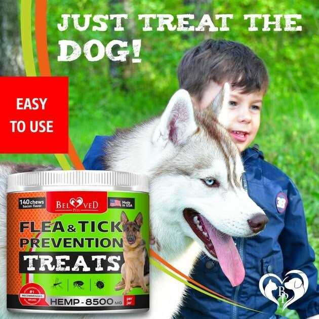 Flea and Tick Prevention Treats for Dogs W809