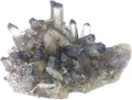 Natural Gemstone Smoky Quartz Cluster Crystal V65271