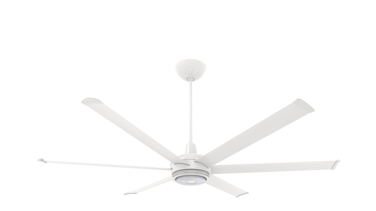 White 72 Ceiling Fan with Downlight LED A542753