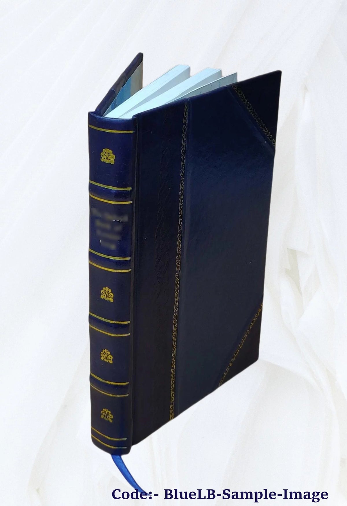 Leather Bound 1870-71 Y9136