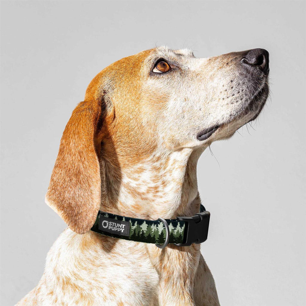 Pines Collar H73920