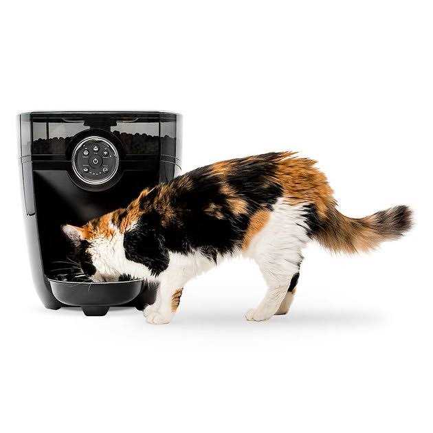 Wi-fi Cat & Dog Auto-Feeder with Hopper & Backup Battery Z984461