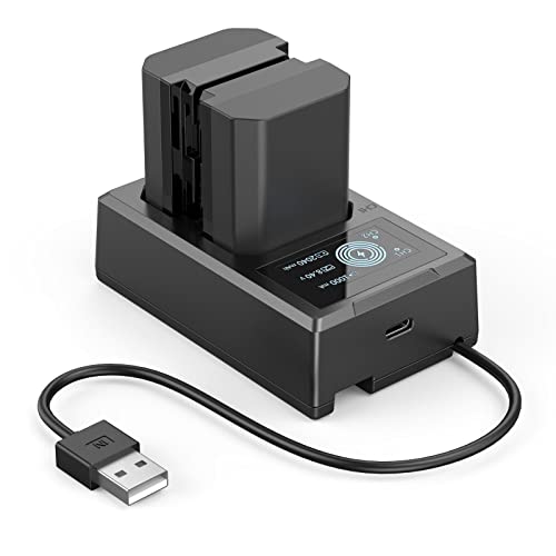 Camera Battery Charger Set for NP-FZ100 W5704