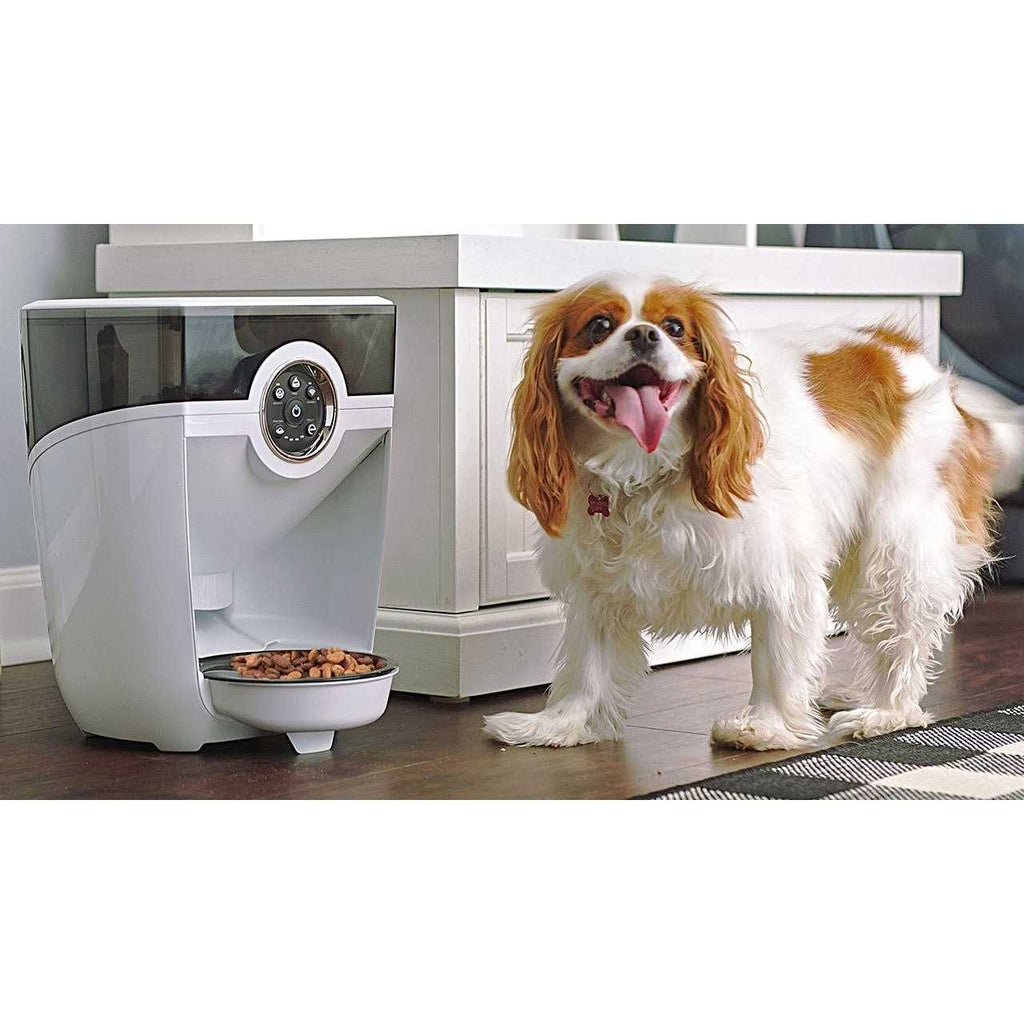 Wi-fi Cat & Dog Auto-Feeder with Hopper & Backup Battery Z984461