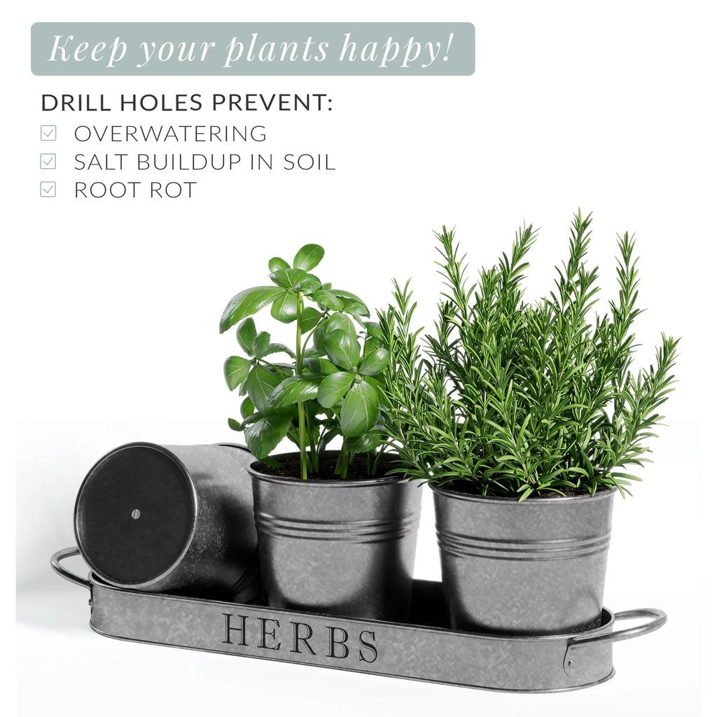 Galvanized Herb Garden Planter Set with Tray Set of 3 R72581