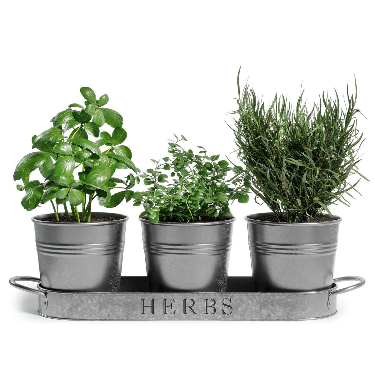 Galvanized Herb Garden Planter Set with Tray Set of 3 R72581