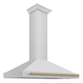48 Inch Stainless Steel Range Hood with Champagne Bronze Handle S470