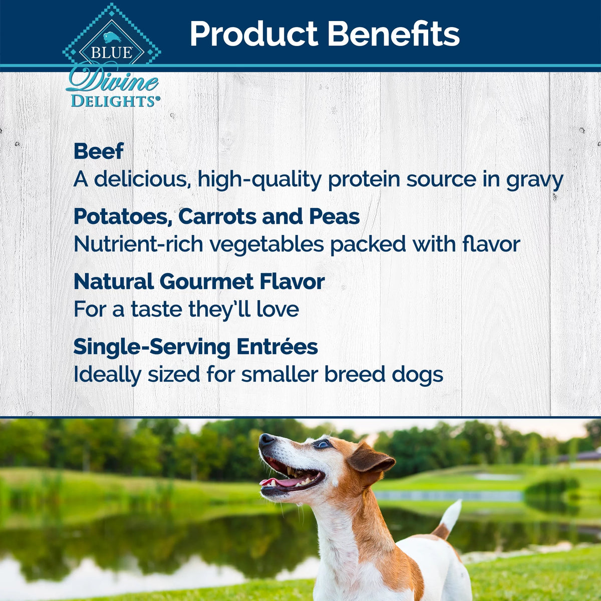 Natural Adult Small Breed Wet Dog Food 3.5-oz (Pack of 12) F370
