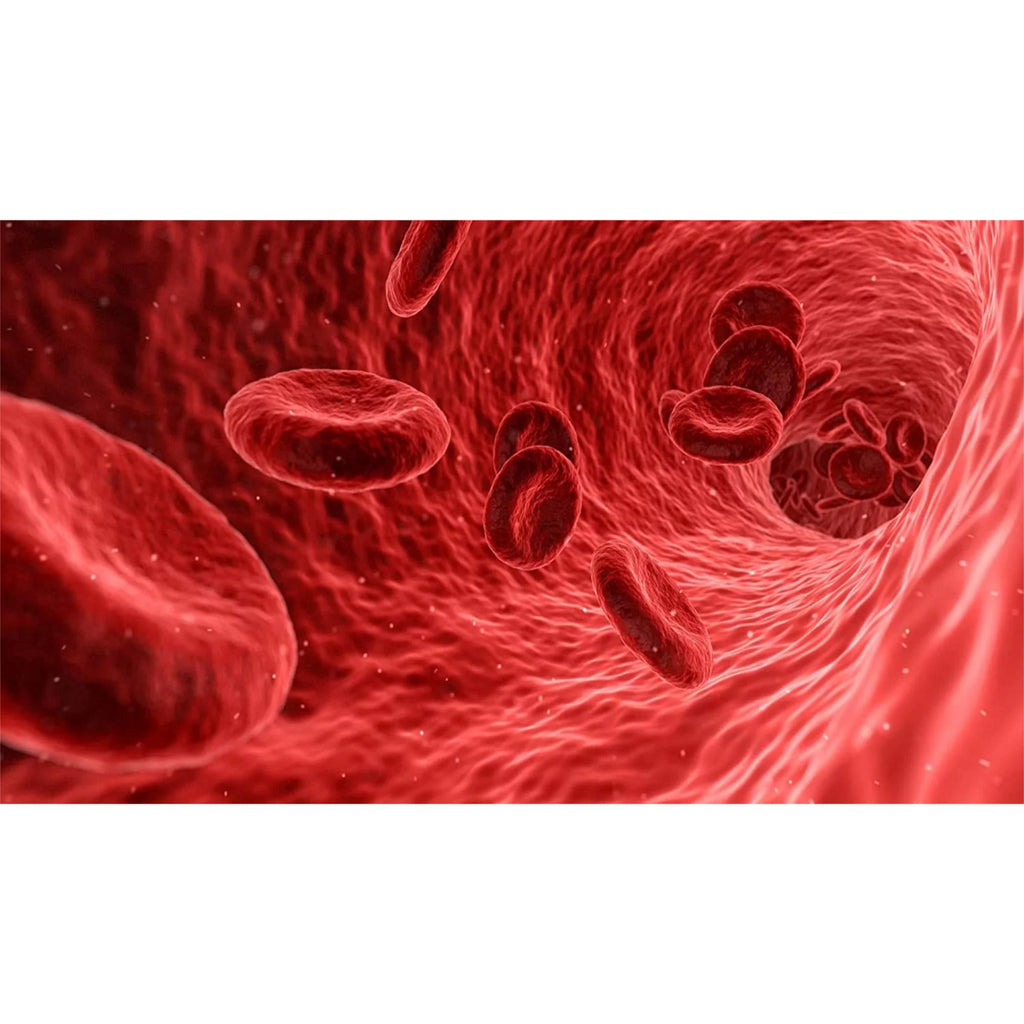 Nitric Oxide Booster M79403