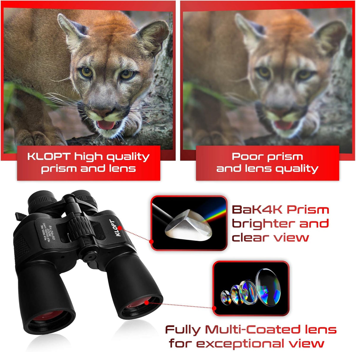 8x-24x50mm Porro Prism Binoculars with Carrying Case H2304