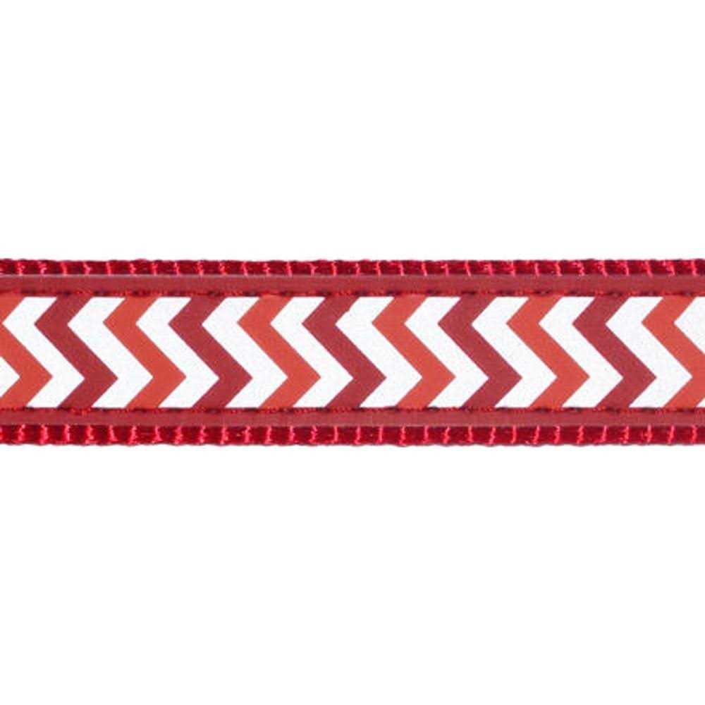 Dog Collar M3568