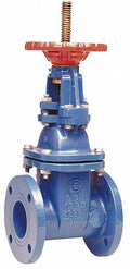 2-1/2 in. Class 250 Gate Valve Q453