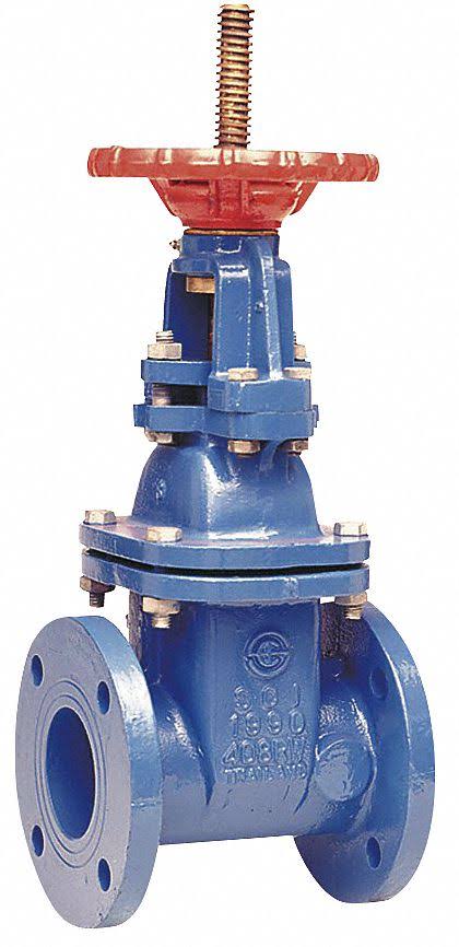 2-1/2 in. Class 250 Gate Valve Q453