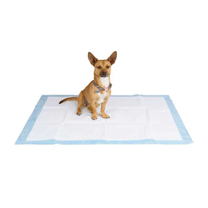 XX-Large Leak Shield Potty Pads K94180