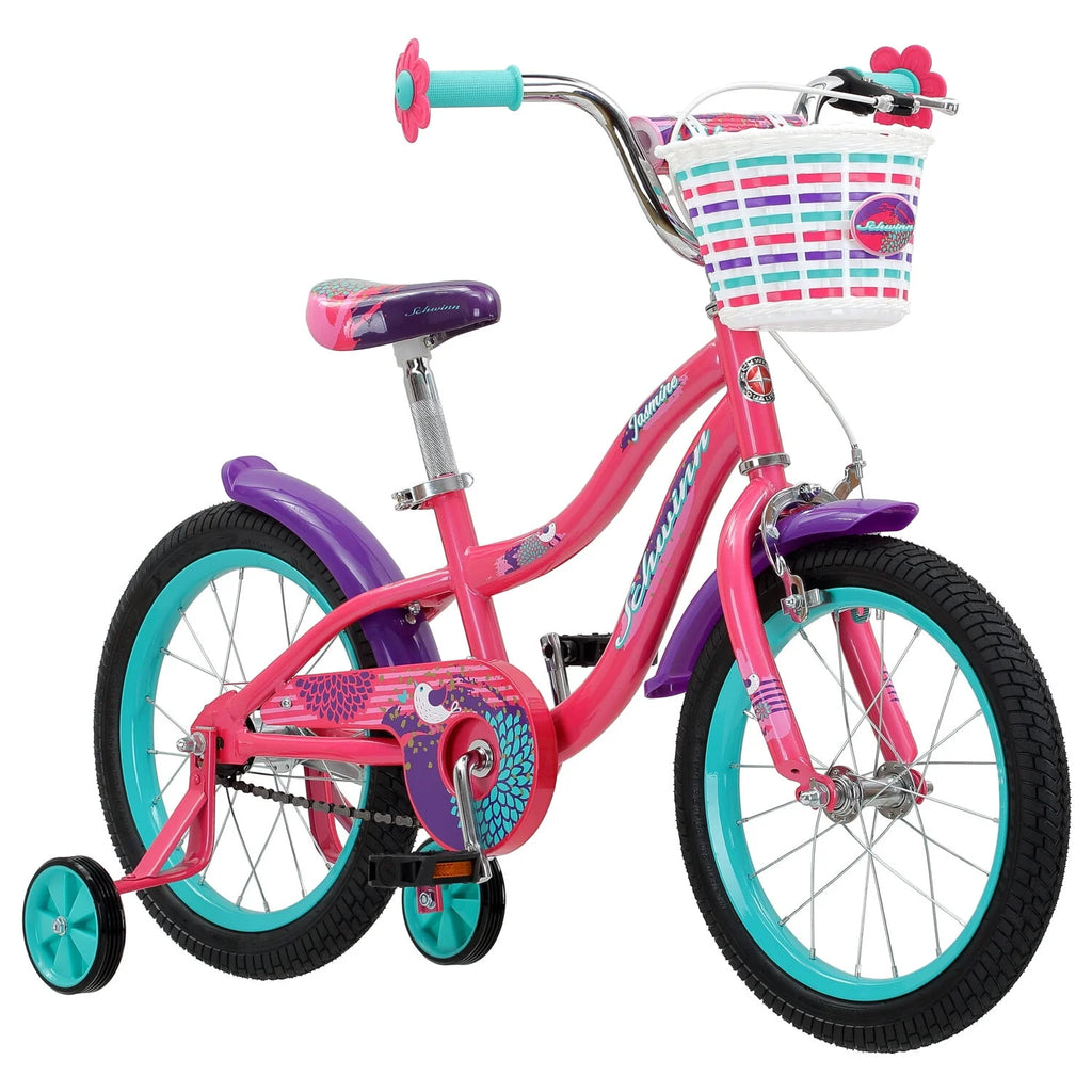 16 in Training Wheels Bike E71607