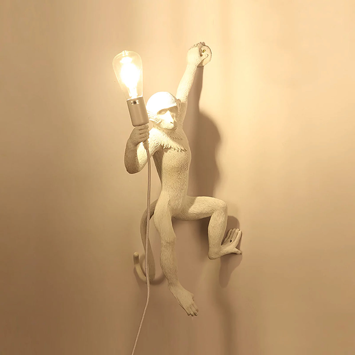 White Resin Plug in Wall Sconce Lamp T5152