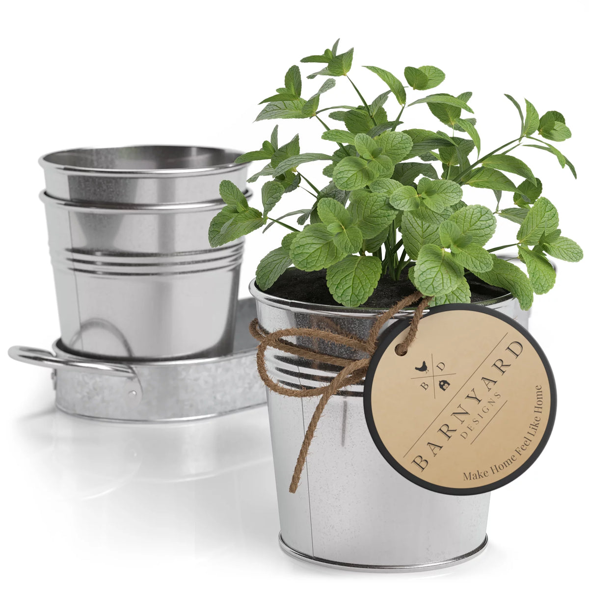 Galvanized Herb Garden Planter Set with Tray Set of 3 R72581