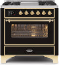 Glossy Black Dual Fuel Natural Gas Range H43287