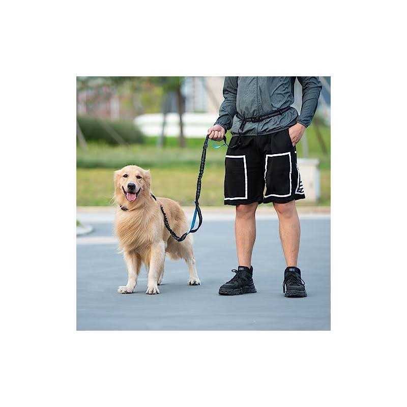 Hands Free Dog Leash with Zipper Pouch and Padded Handles M621