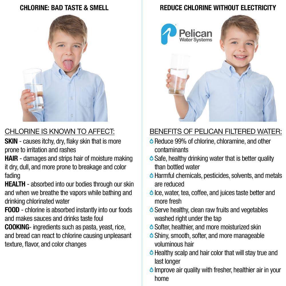 Carbon Replacement Media for Whole House Drinking Water Filter P702792