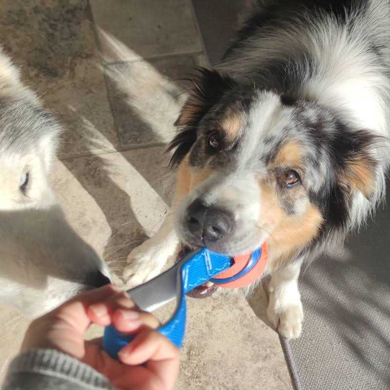 Dog Tug Toy B53726