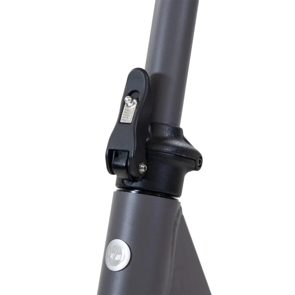 Peak 800W Motor 10inch Tires 20MPH Folding Electric Scooter T620