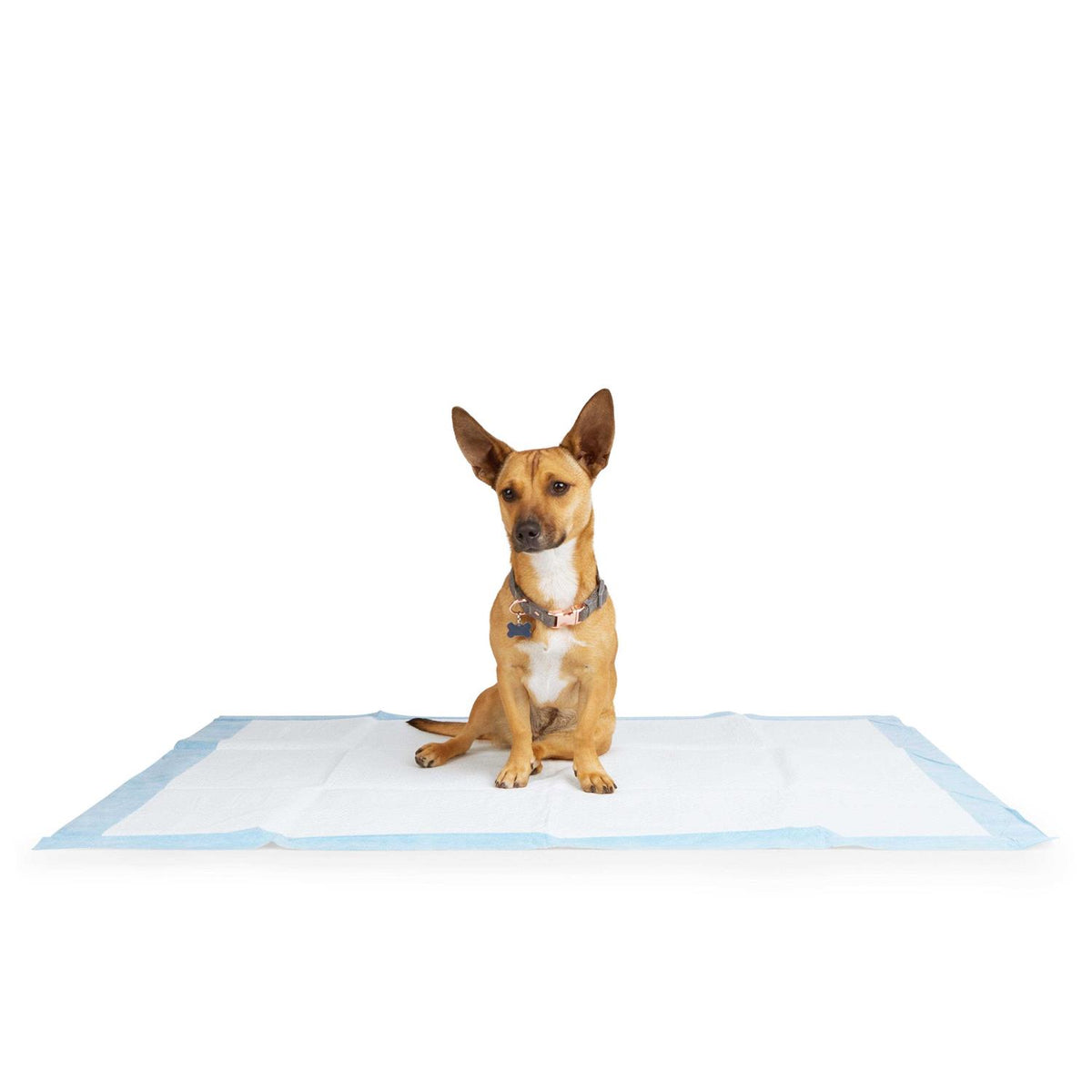 XX-Large Leak Shield Potty Pads K94180