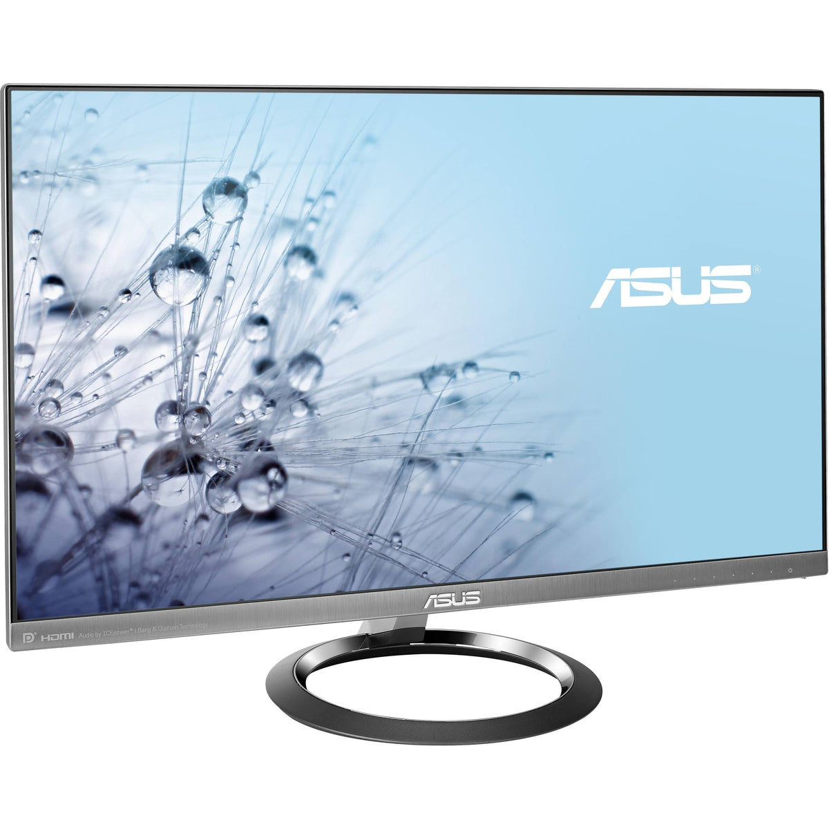 25-inch LED Monitor Q9516