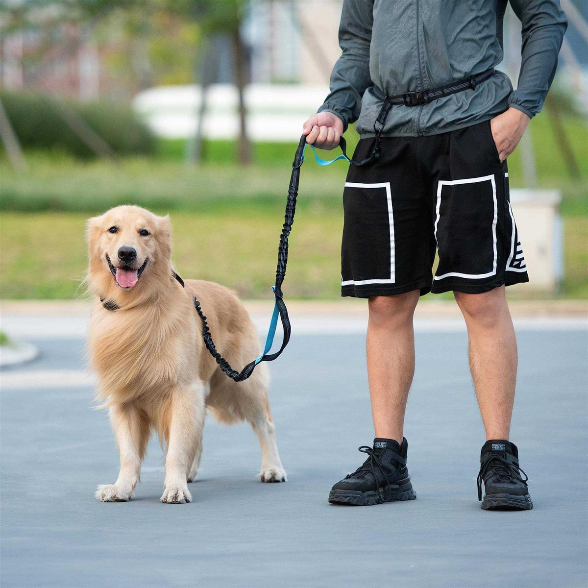 Hands Free Dog Leash with Zipper Pouch and Padded Handles M621