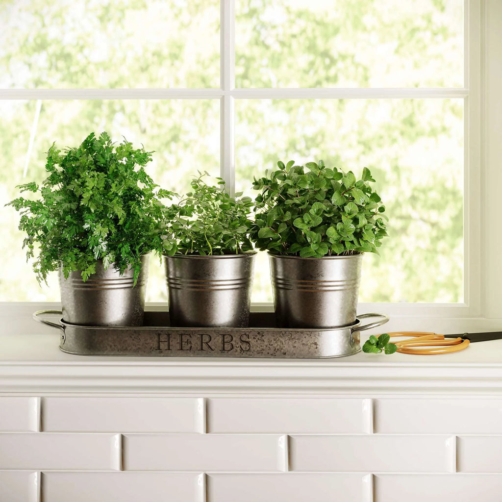 Galvanized Herb Garden Planter Set with Tray Set of 3 R72581