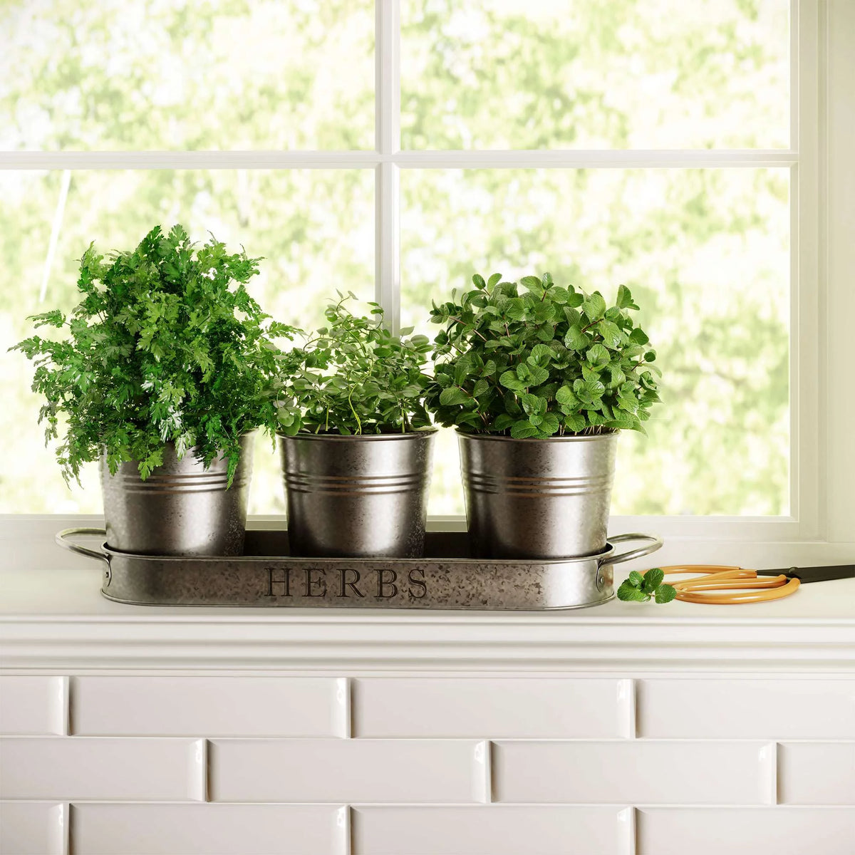 Galvanized Herb Garden Planter Set with Tray Set of 3 R72581
