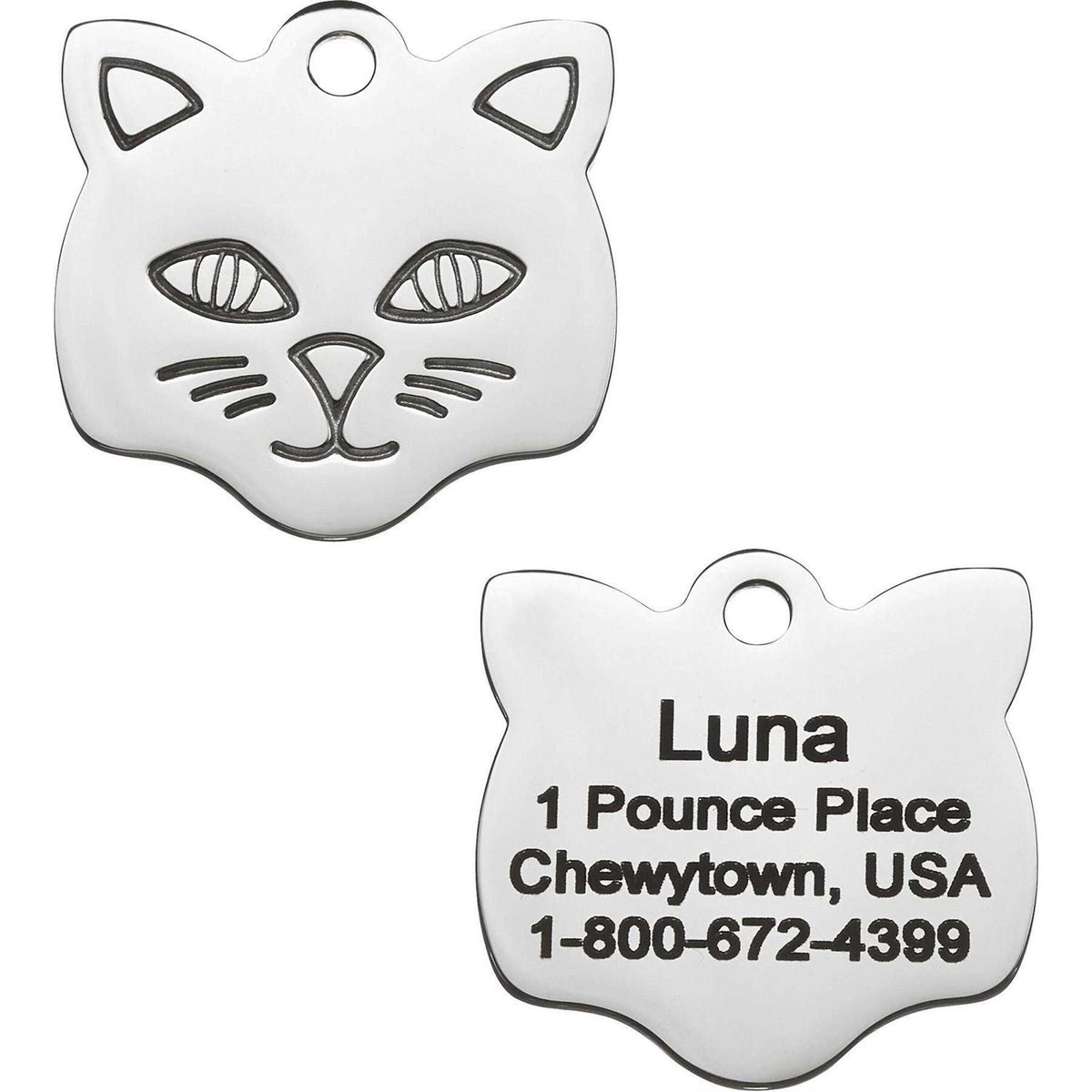 Stainless Steel Personalized Dog & Cat ID Tag A177