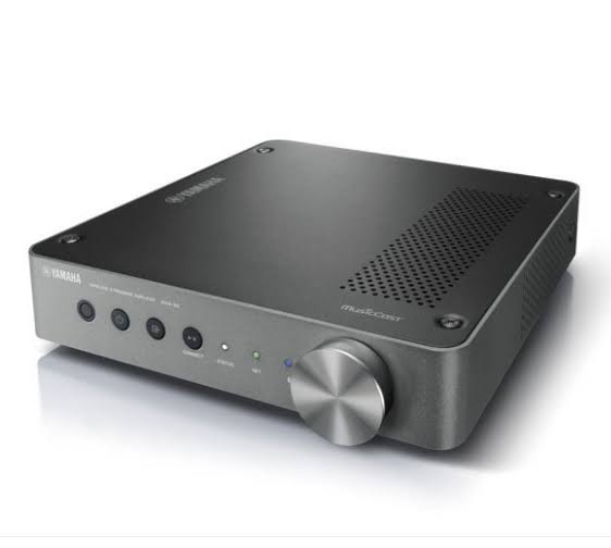 Wireless Streaming Amplifier P559