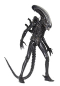 1/4 Scale Action Figure V235512