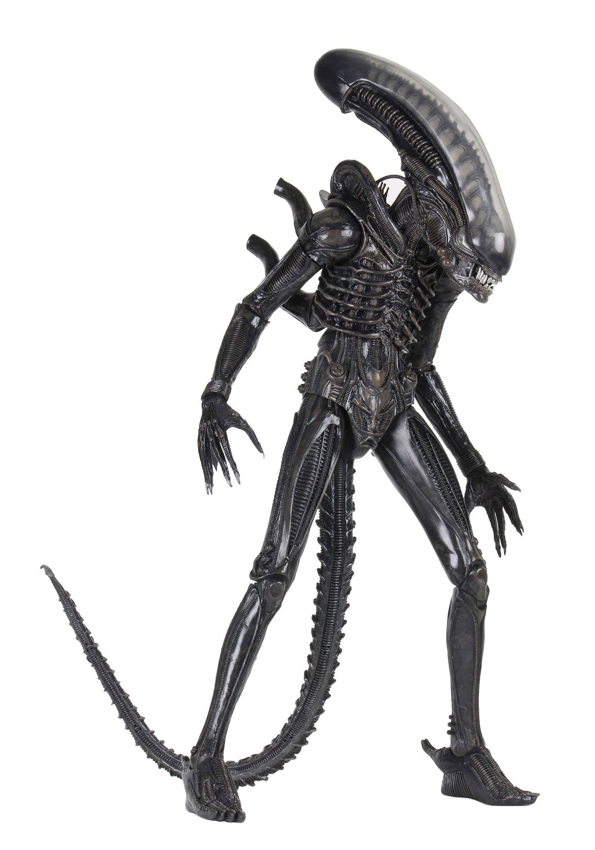 1/4 Scale Action Figure V235512