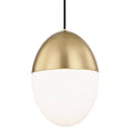 1 Light Large Pendant Aged Brass R605281