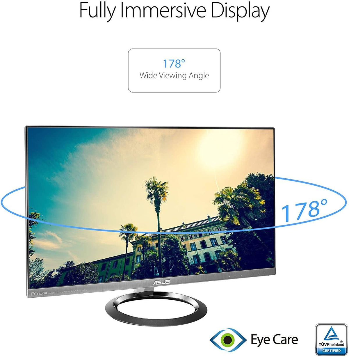 25-inch LED Monitor Q9516