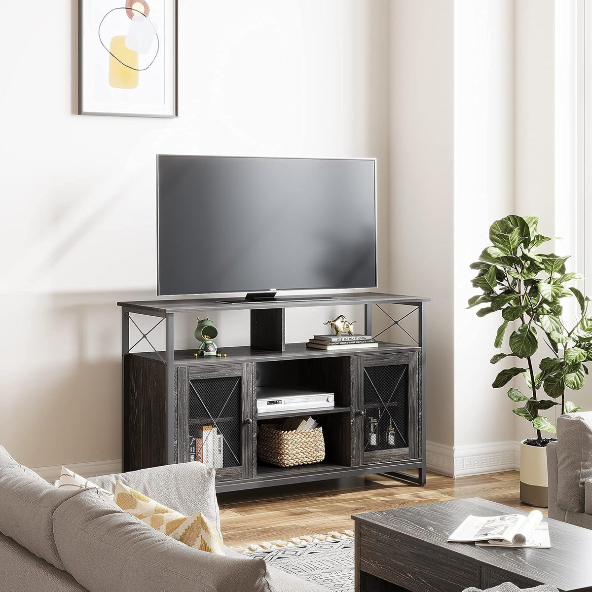 55 inch TV Stand with Storage Cabinet R254