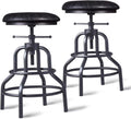 Adjustable Swivel Metal Bar Stool Set of 2 F617