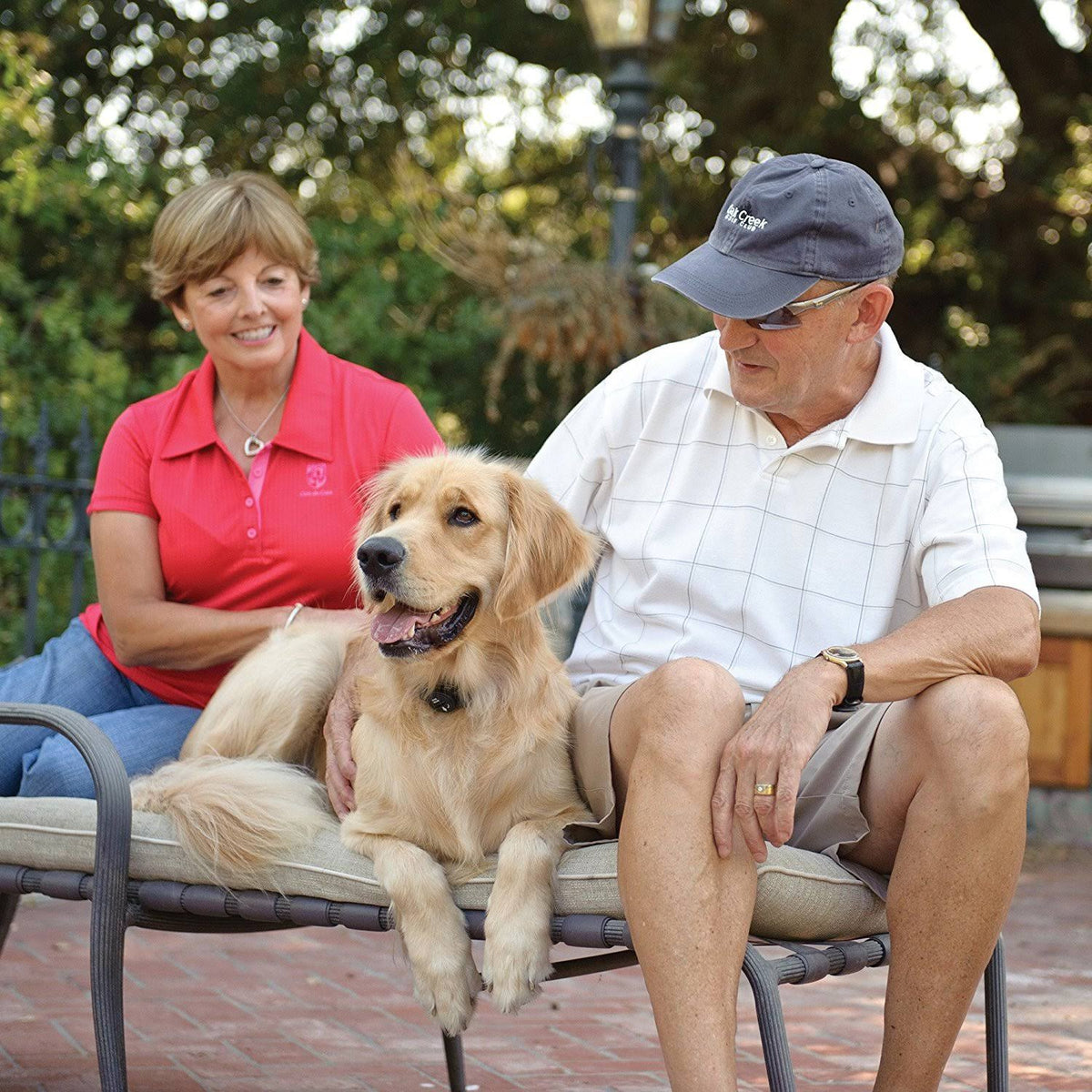 Waterproof In-Ground Fence for Dogs and Cats F8284