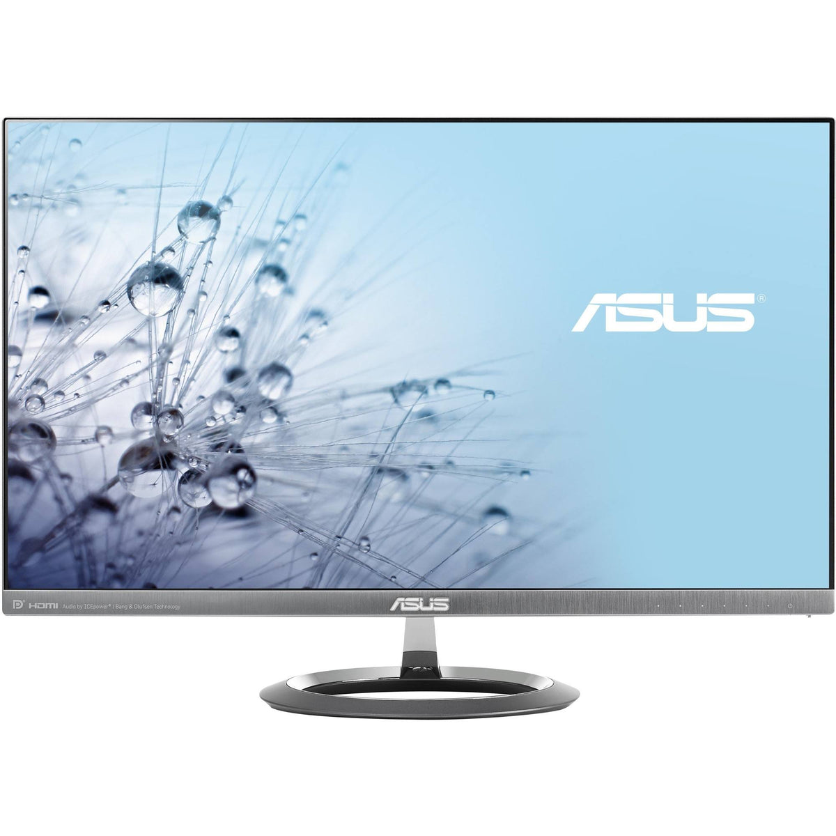 25-inch LED Monitor Q9516