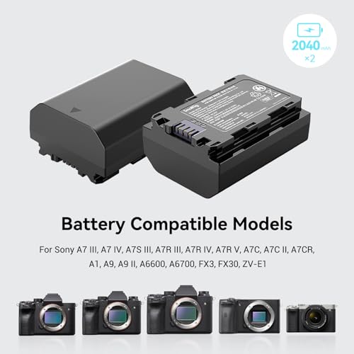 Camera Battery Charger Set for NP-FZ100 W5704