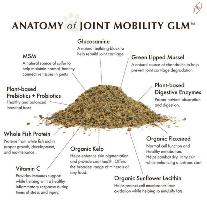 Joint Mobility with Green Lipped Mussel Pet Supplies W750