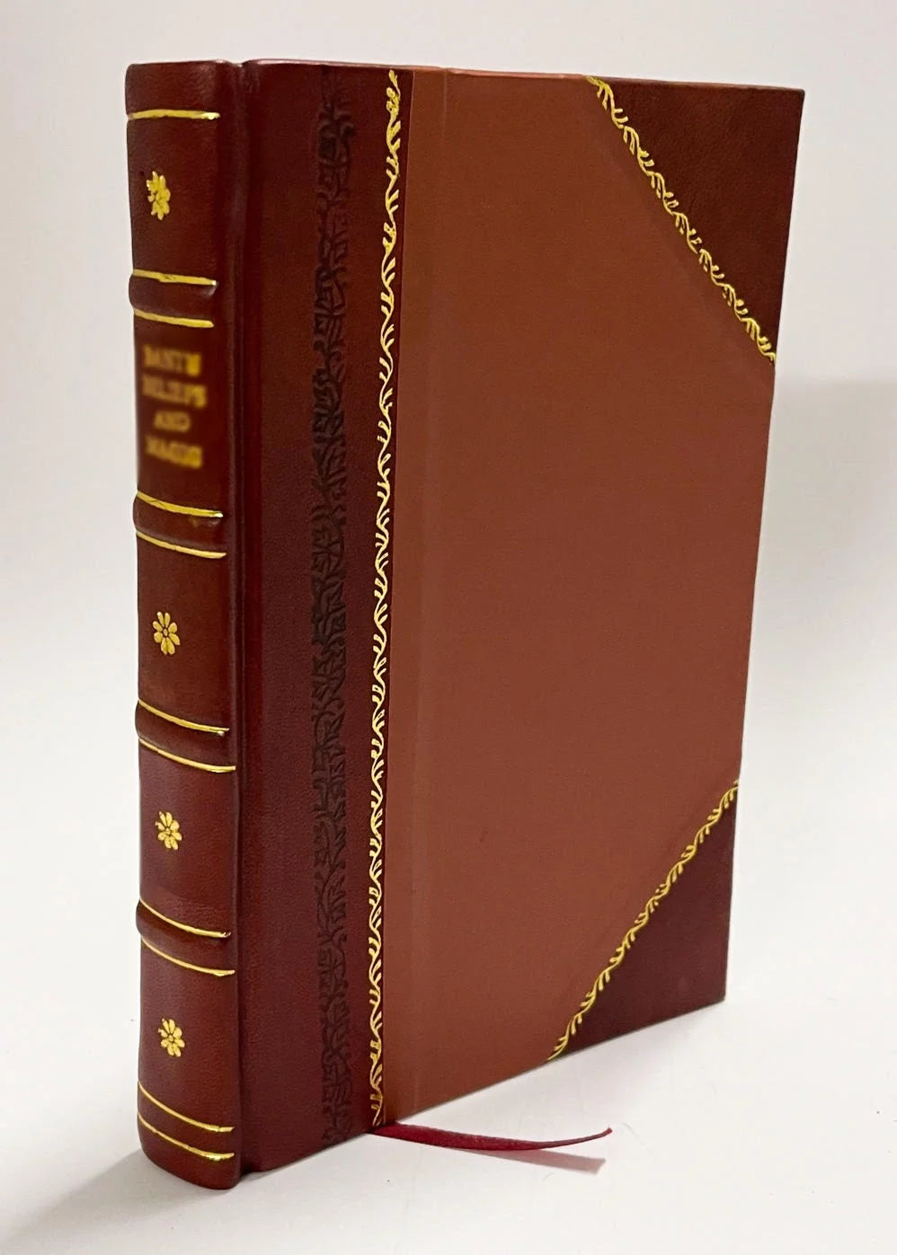 Professional Papers of the Corps of Royal Engineers Volume 24 Leather Bound G8816