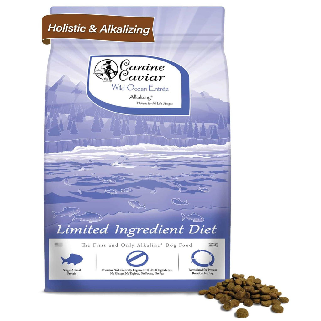 Grain-Free Dry Dog Food T192180
