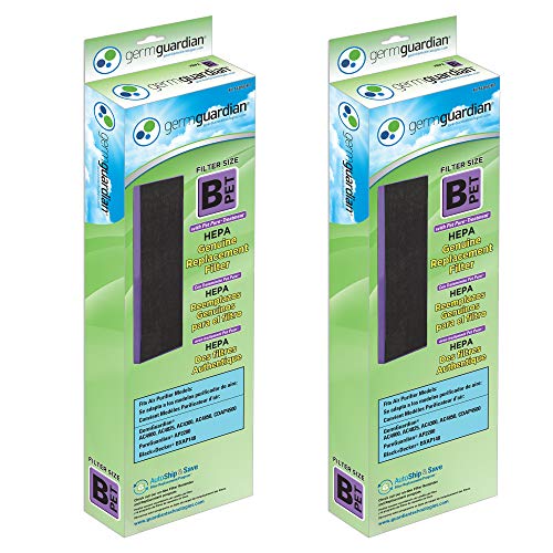 HEPA PURE Replacement Air Purifier Filter B K2953